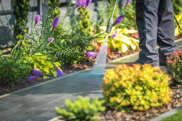 Best Patio and Deck Pressure Washing  in Weldon, CA