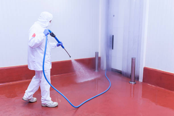 Best Paint Preparation  in Weldon, CA