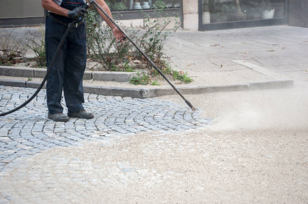 Best Pre-Holiday Cleaning  in Weldon, CA